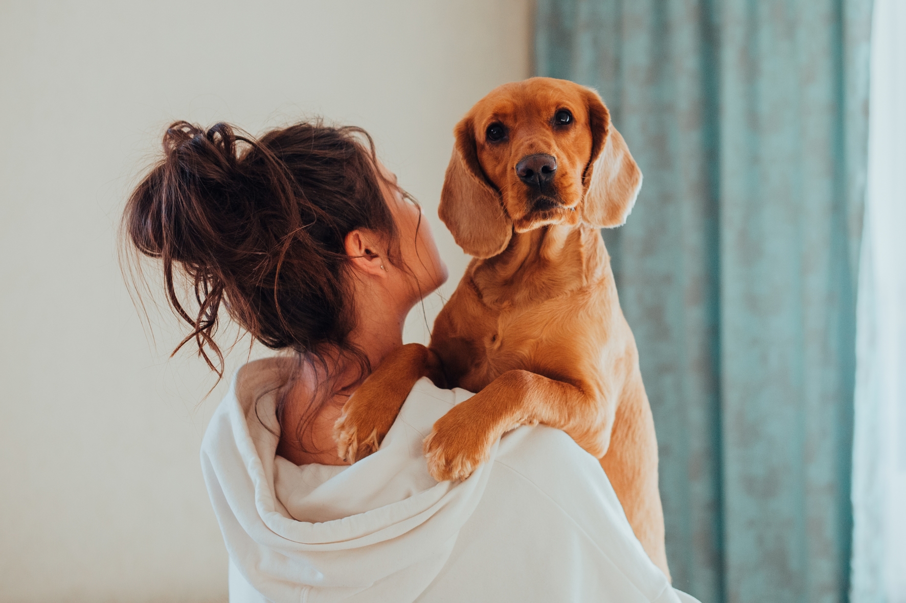 Mulher conquista pensão alimentícia para cachorro após separação: um precedente importante